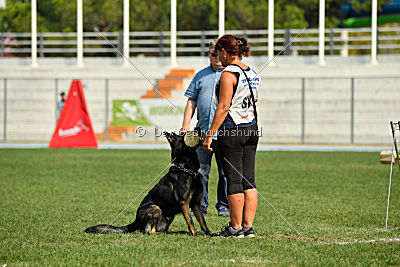 Gero z Berounske basty