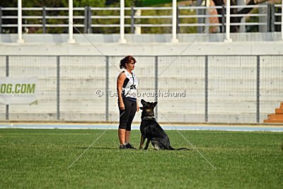 Gero z Berounske basty