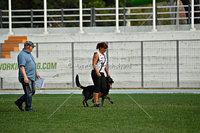 Gero z Berounske basty