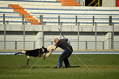 Gero z Berounske basty