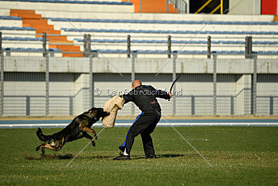 Gero z Berounske basty