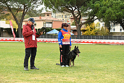 Gero z Berounske basty