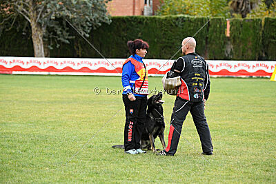 Gero z Berounske basty