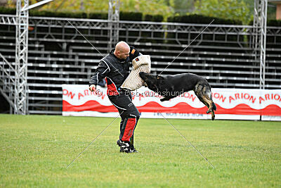 Gero z Berounske basty