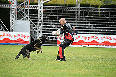 Gero z Berounske basty