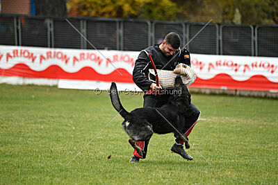 Gero z Berounske basty