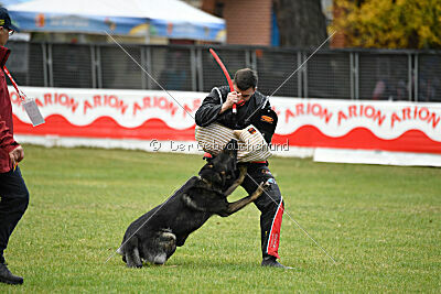 Gero z Berounske basty