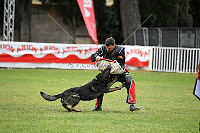 Gero z Berounske basty