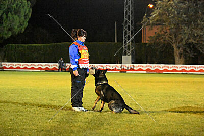 Gero z Berounske basty