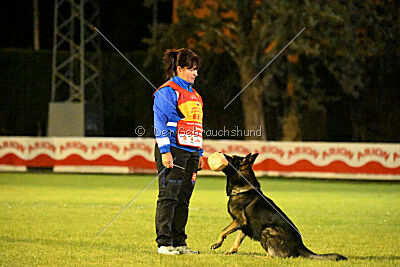 Gero z Berounske basty