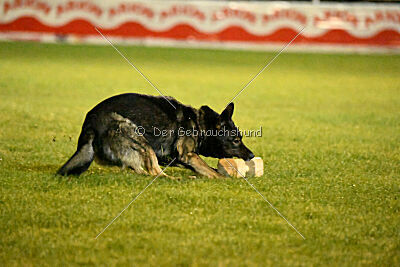 Gero z Berounske basty