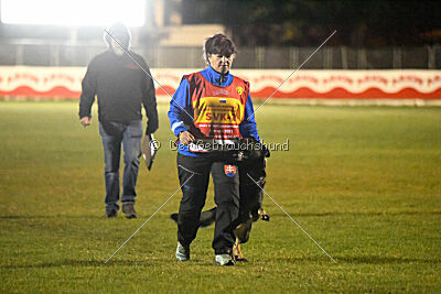 Gero z Berounske basty