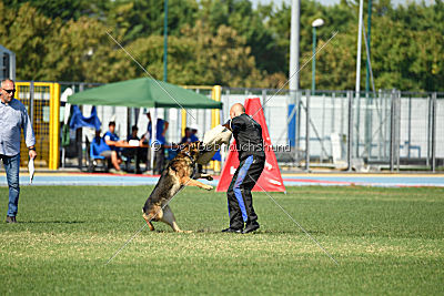 Gesper vom Wolfisherde