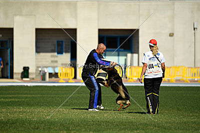 Gesper vom Wolfisherde