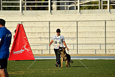 Gesper vom Wolfisherde