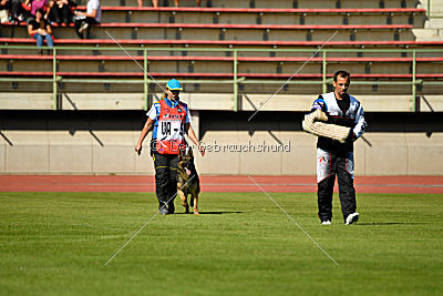 Gesper vom Wolfisherde