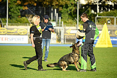 Gianna von den Wannaer Höhen