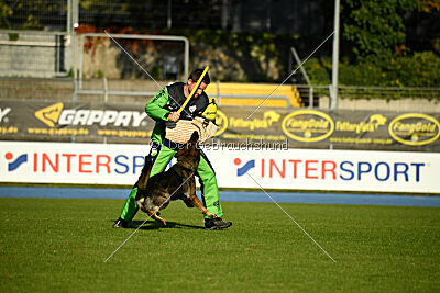 Gianna von den Wannaer Höhen