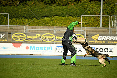 Gianna von den Wannaer Höhen