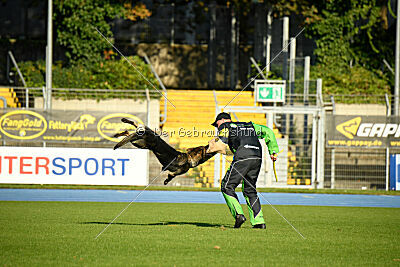 Gianna von den Wannaer Höhen