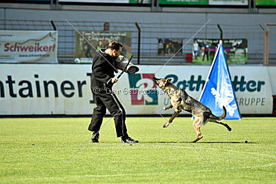 Gin-Tonic vom Wieratal