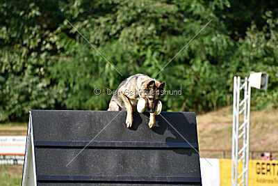 Gin-Tonic vom Wieratal