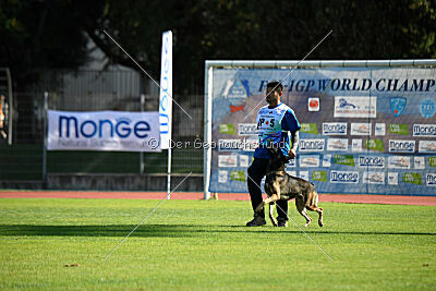 Ginger of Brave House JP