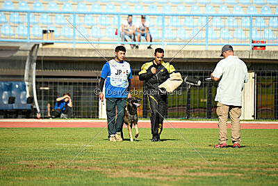 Ginger of Brave House JP