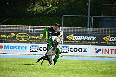 Gipsy von Petersborn