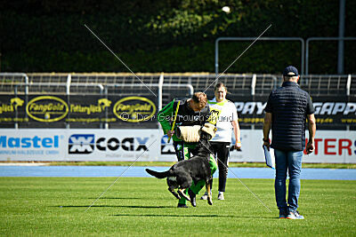 Gipsy von Petersborn