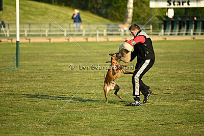 Gisela vom Hause Ritter