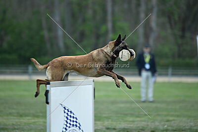 Gisela vom Hause Ritter