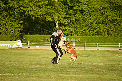Gitano vom Haus Mecki