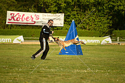 Gitano vom Haus Mecki