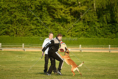 Gitano vom Haus Mecki