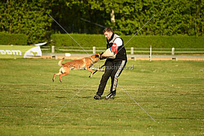 Gitano vom Haus Mecki