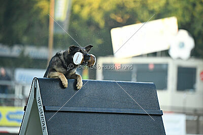 Google van het Chainpark