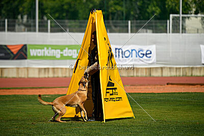 Gouache iz Gratsiano