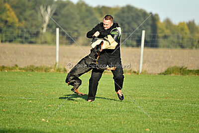 Grace von der Leibgarde