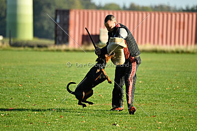 Grace von der Leibgarde