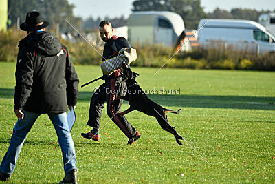 Grace von der Leibgarde