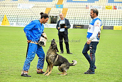 Grando de la Vieja Encina