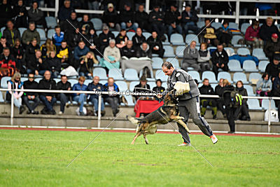 Granit vom Spektefeld