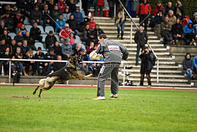 Granit vom Spektefeld