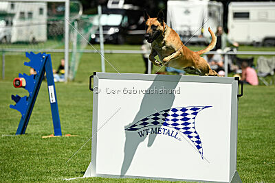 Greek vom schnellen Falken