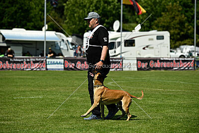 Greek vom schnellen Falken