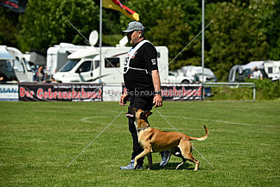 Greek vom schnellen Falken