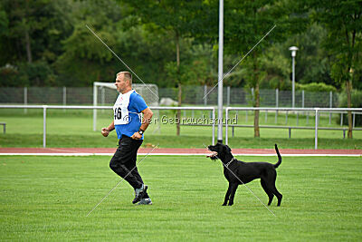 Greif vom Hatzbachtal