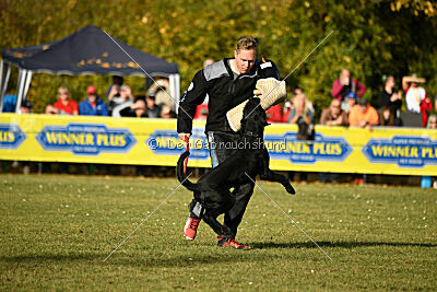 Greif vom Hatzbachtal