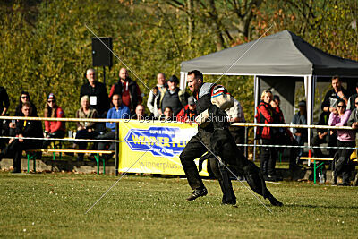 Greif vom Hatzbachtal